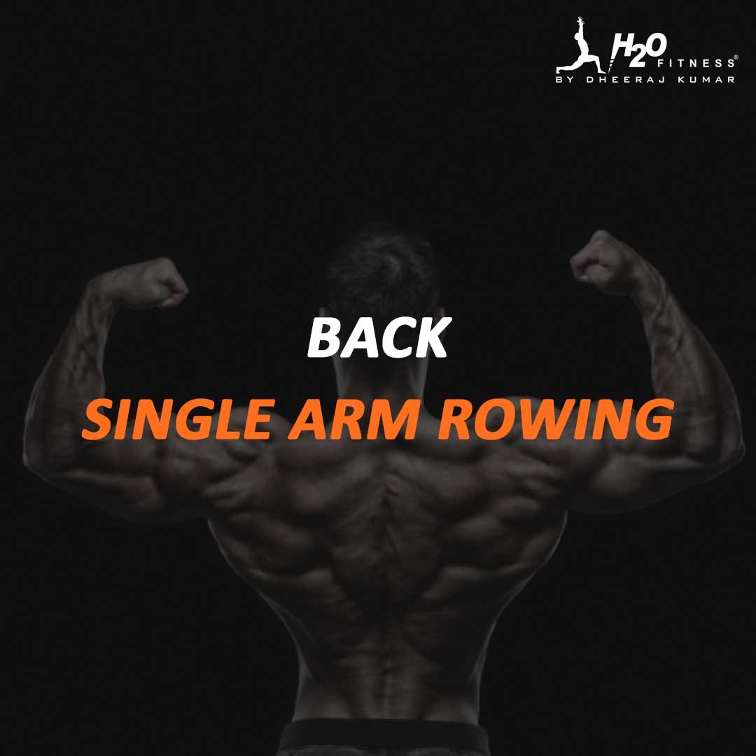 Back - Single Arm Rowing