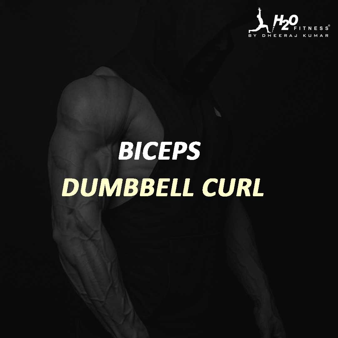 Biceps - Dumbbell Curl