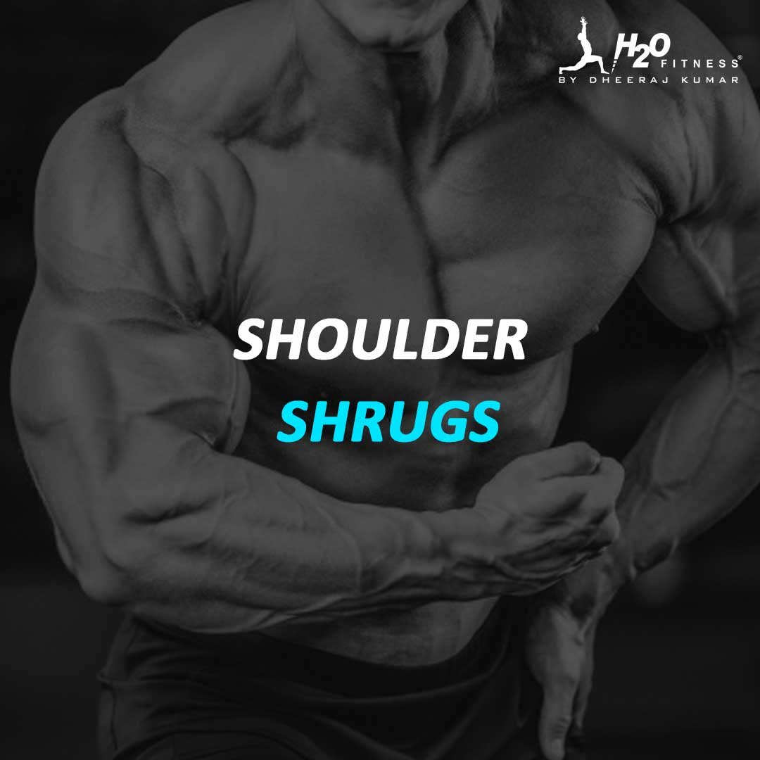 Shoulder - Shrugs