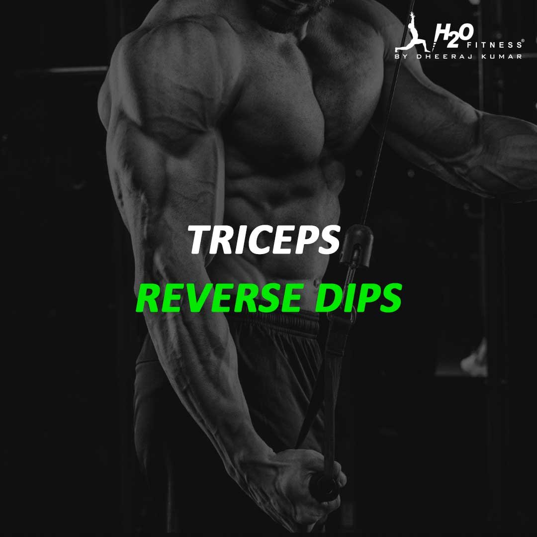 Triceps - Reverse Dips