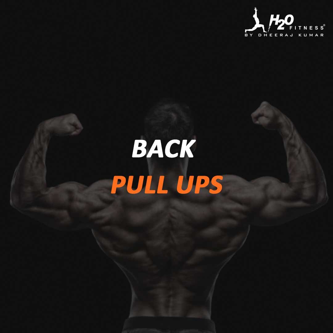 Back - Pull Ups