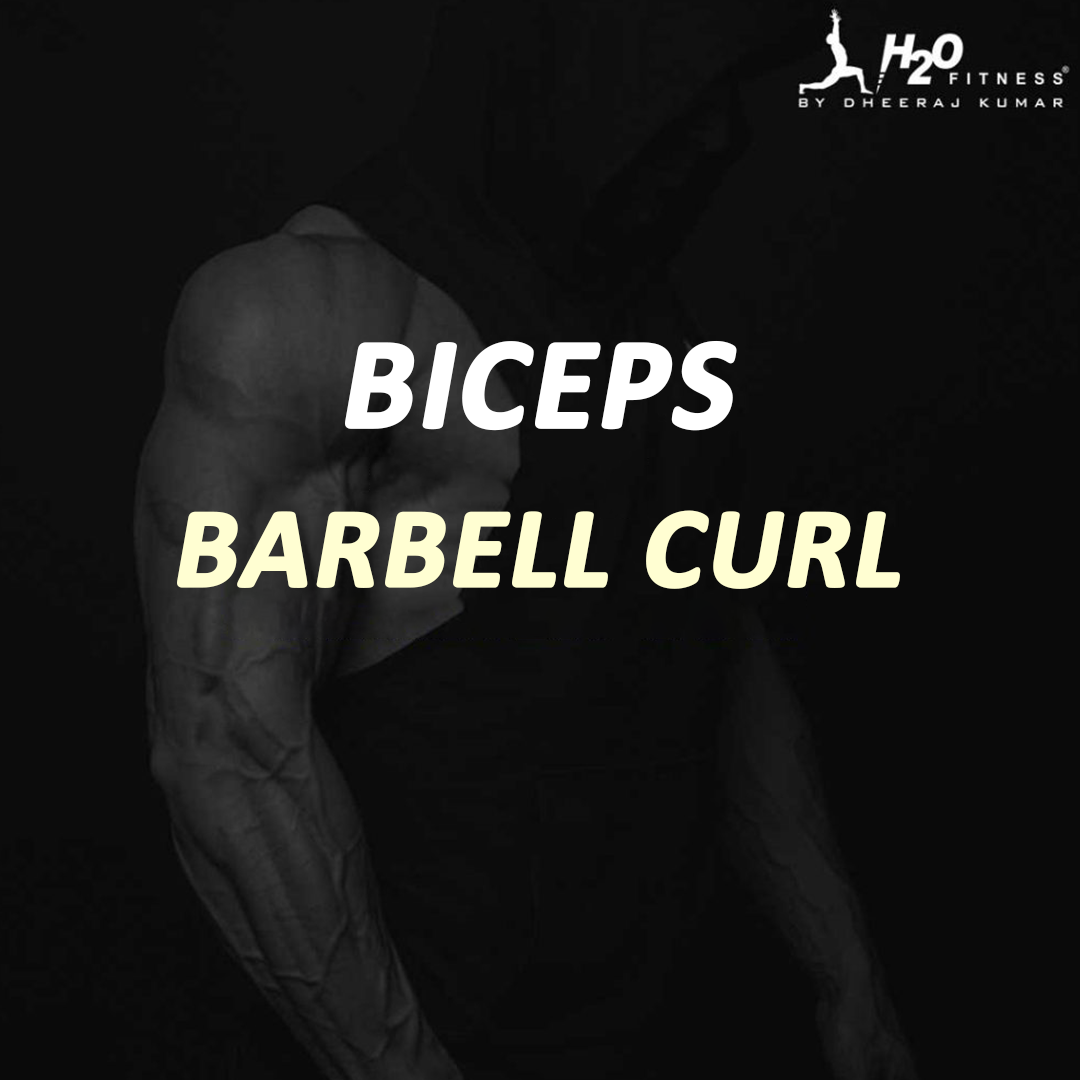 Biceps - Hammer Curl