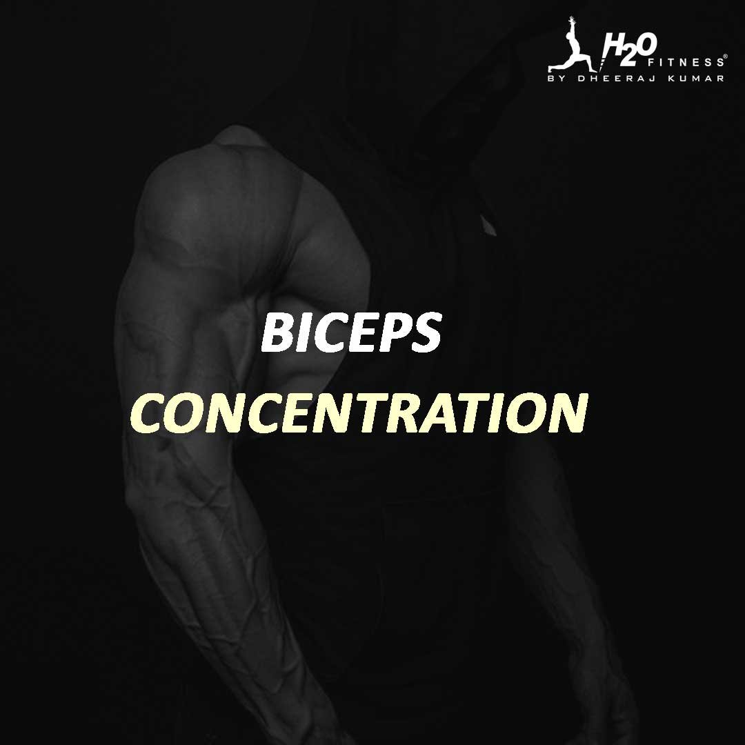 Biceps - Concentration