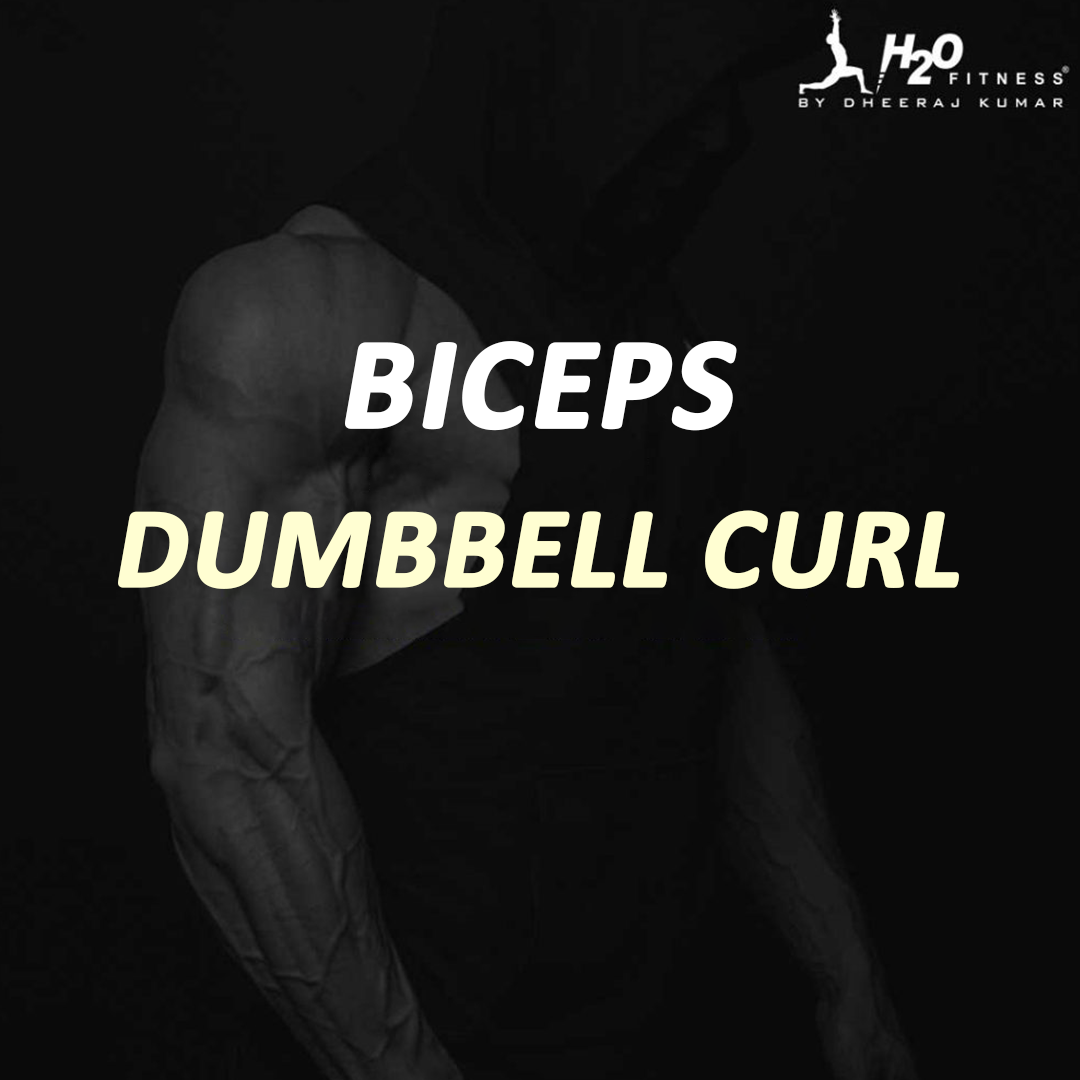 Biceps - Dumbbell Curl