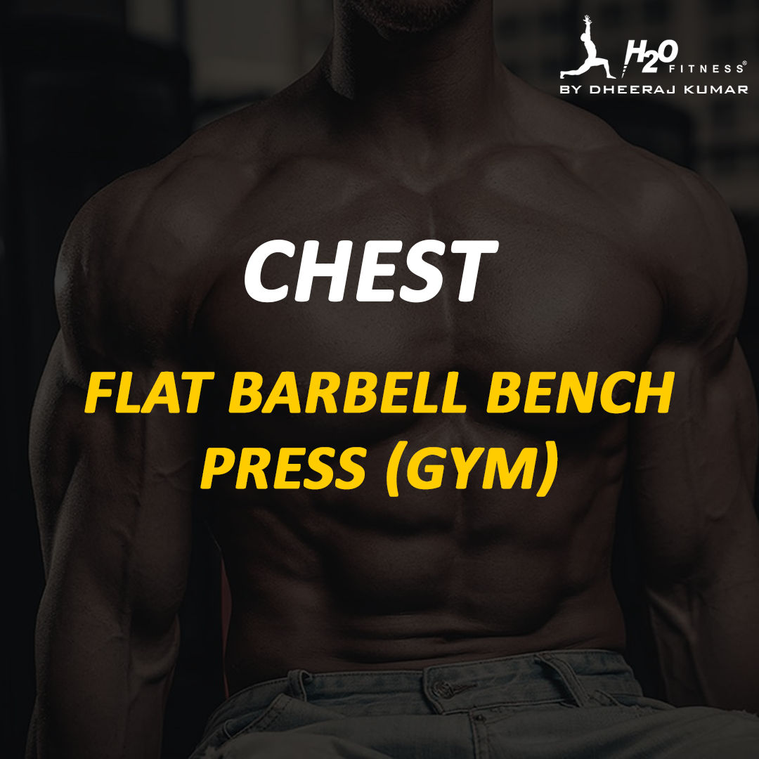 Chest - Flat Barbell Bench Press (Gym)