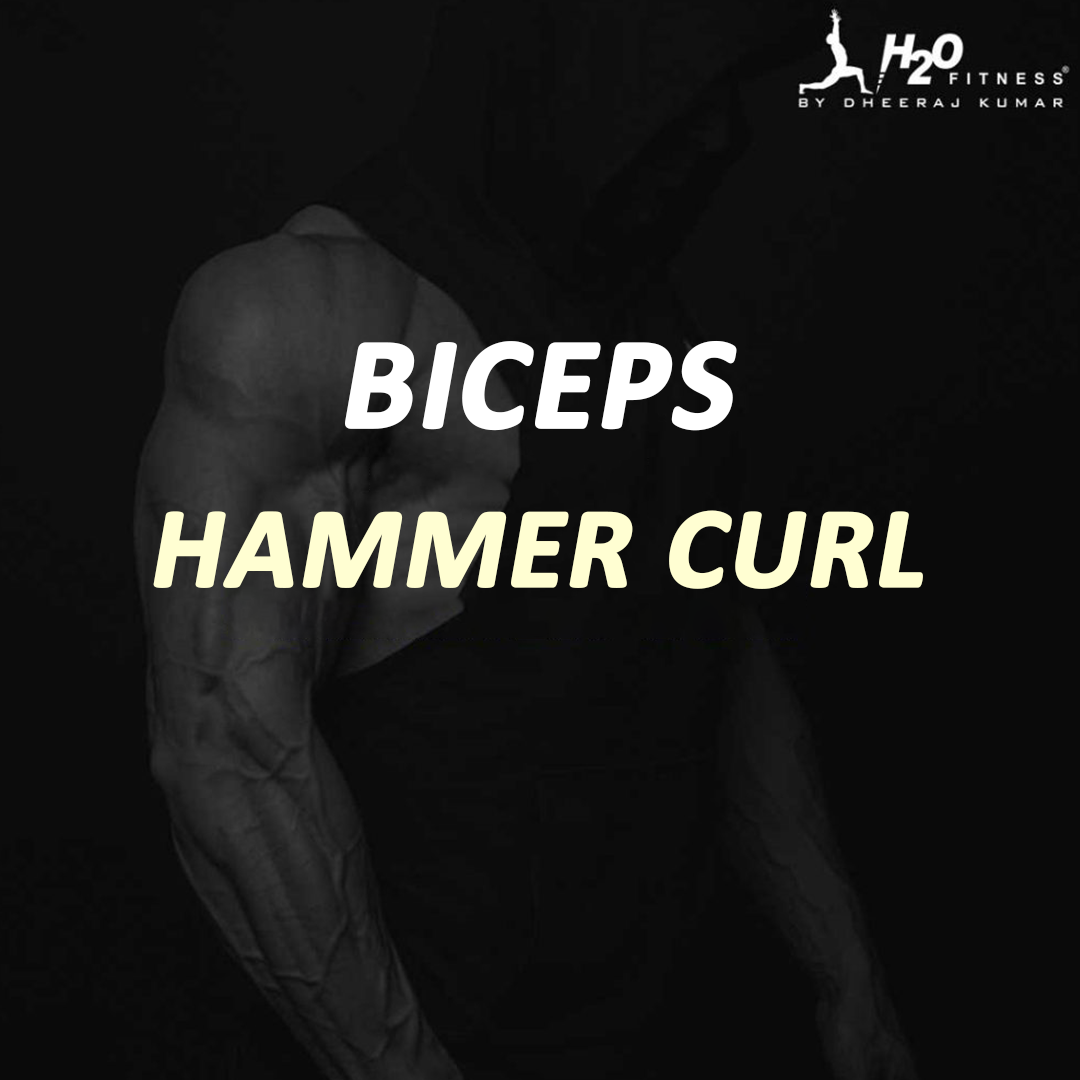 Biceps - Hammer Curl