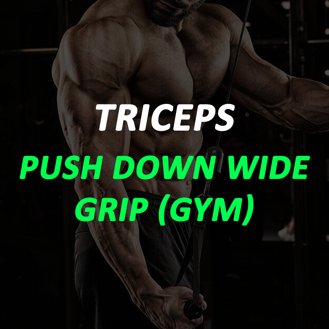 Triceps - Push Down Wide Grip (GYM)