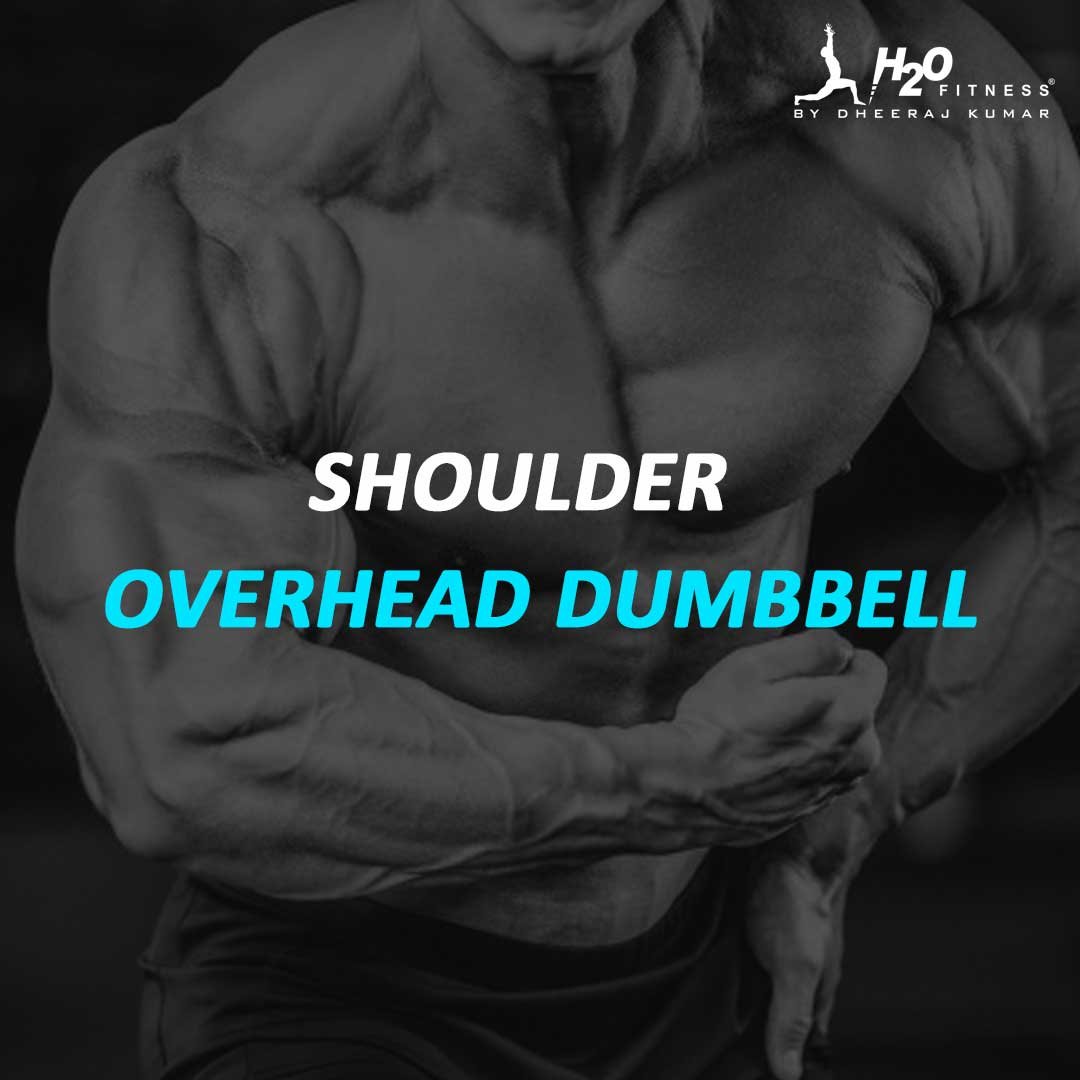 Shoulder - Overhead Dumbbell