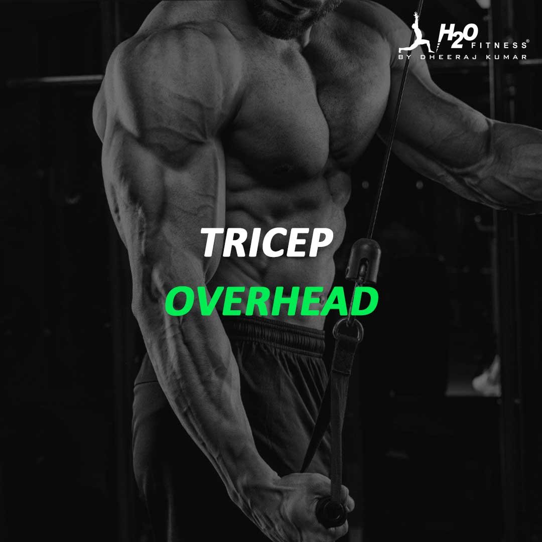 Triceps - Overhead