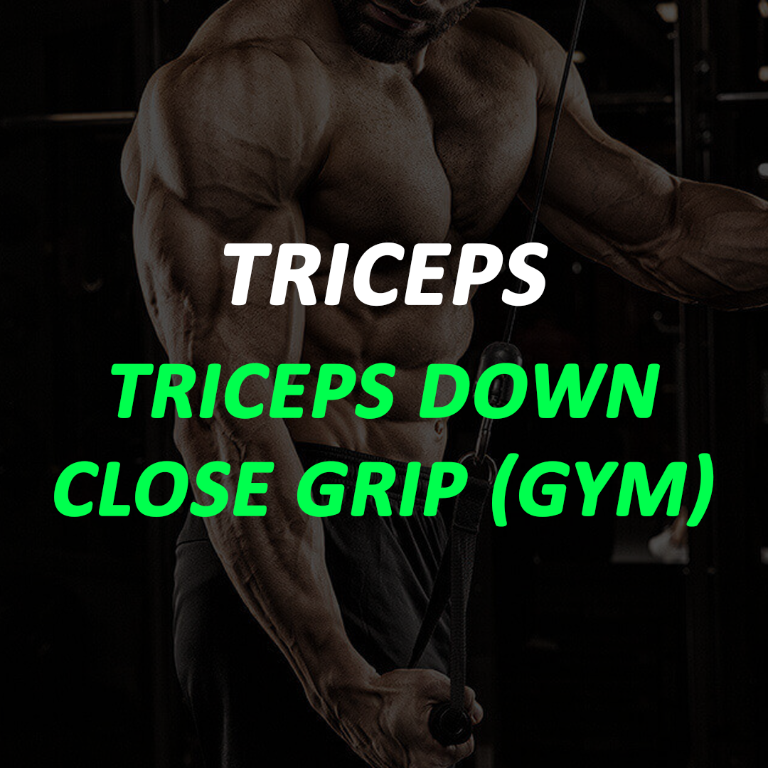 Triceps - Triceps Down Close Grip (GYM)