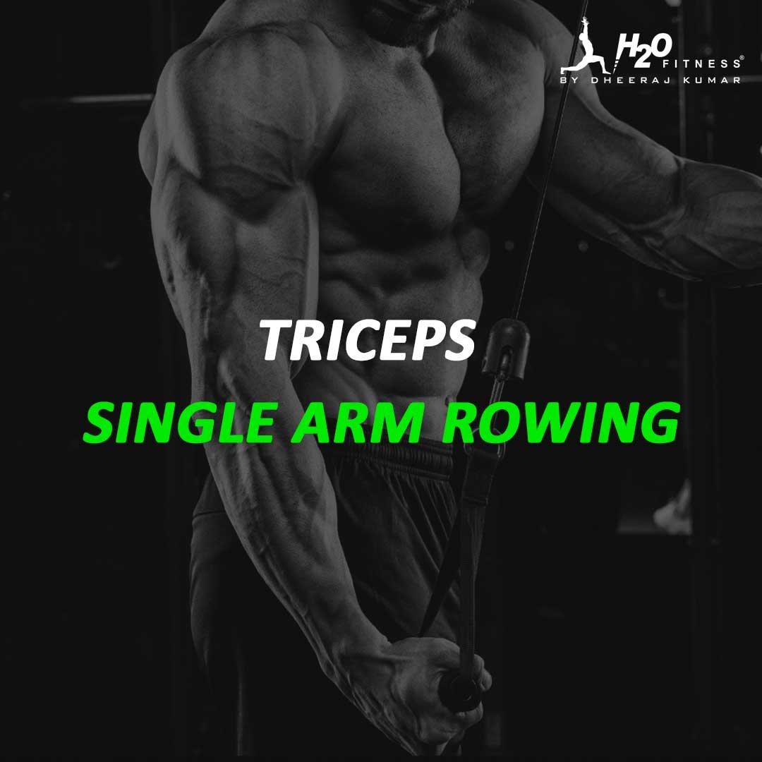 Triceps - Single Arm Rowing