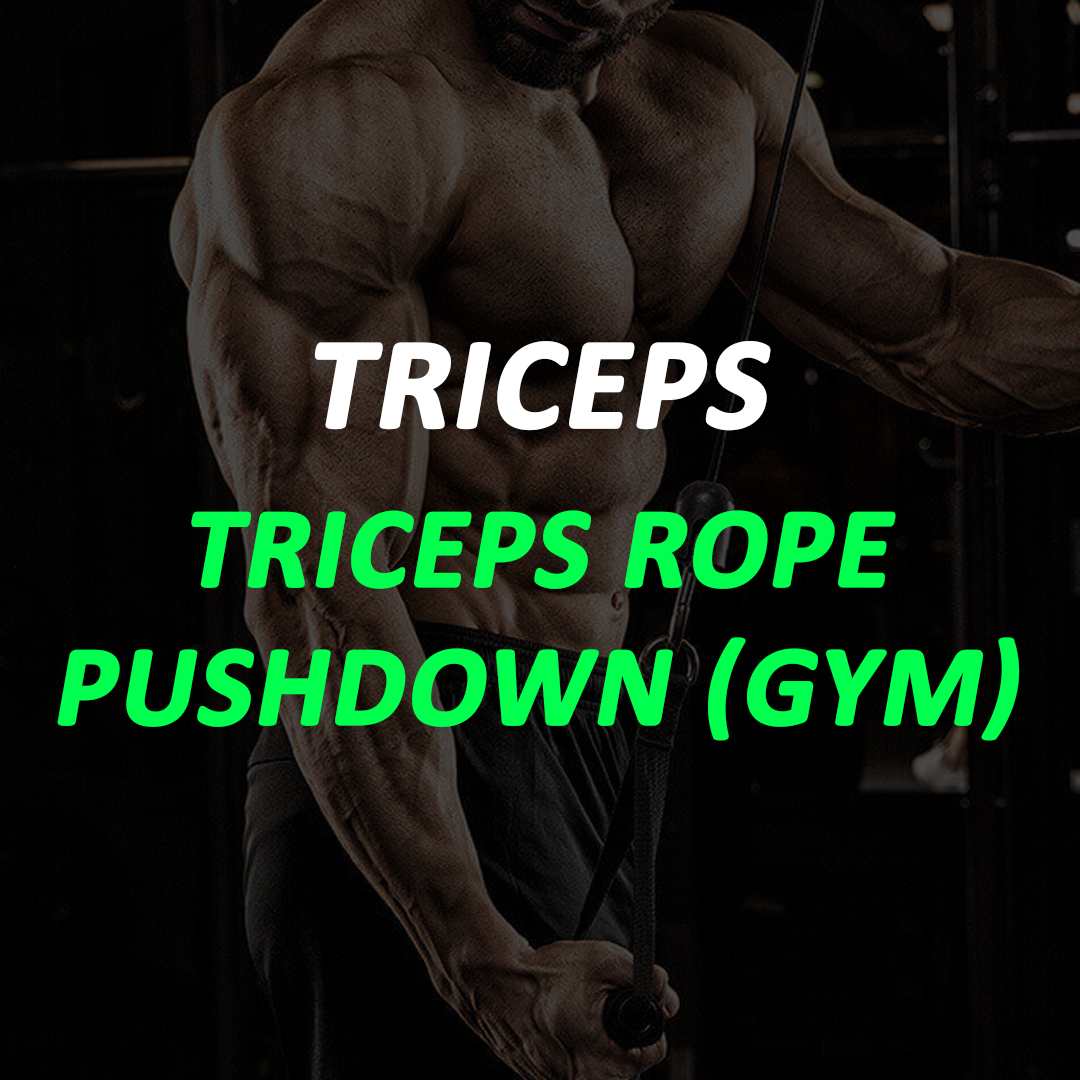 Triceps - Triceps Rope Pushdown (GYM)