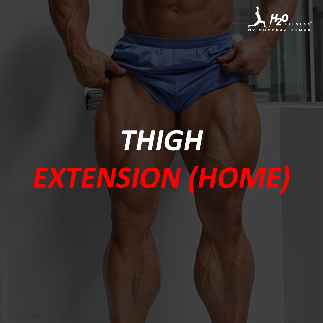 Thigh - Extension (Home)